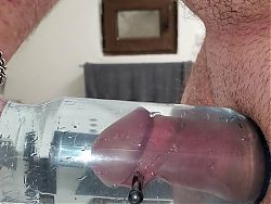 Schwanz steckt in Wasserflasche 